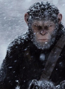 春雨直播打扑克视频