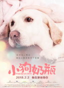 小小的日本在线观看免费中文版