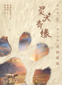 哪里有二维码直播