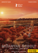 哪个平台可以看直播