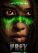 夜来香在线观看免费观看截图