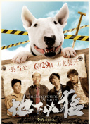 欺诈偶像08手机软件app