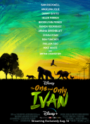 手机视频直播方案