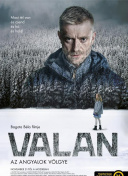 导游建议游客买一朵菊花献烈士