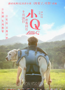 我是特种兵免费下载截图