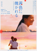 夹一天不能掉晚上我检查作文