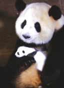 16岁男朋友喜欢捏我的小兔子