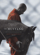 恋夜直播所有视频