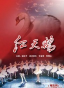 花儿直播0275tv下载