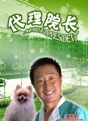 超融合!超越时空的羁绊截图