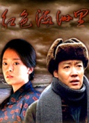 猫咖余只猫被锁店里饿到自相残杀