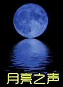 桃子小熊移植款纸巾盒手机软件app