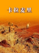 直播入口网站截图