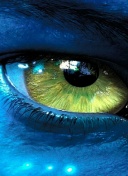 刑警之海外行动电视剧在线观看